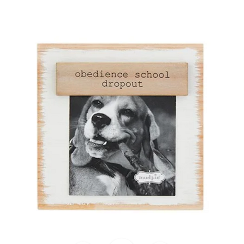 Mud Pie Obedience School Dropout Frame