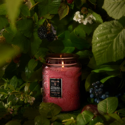 Voluspa Foraged Wildberry Large Jar Candle