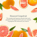 Beekman Honeyed Grapefruit Sampler Set