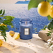 Voluspa Mediterranean Lemon Large Jar Candle