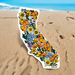 Doodles Ink California Wildflowers Sticker