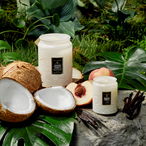 Voluspa Tahitian Coconut Small Jar Candle