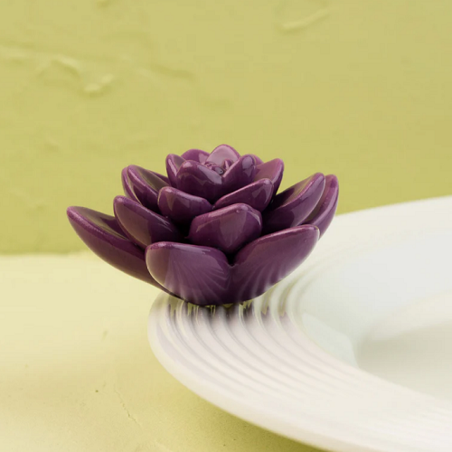 Nora Fleming Get Growing Mini